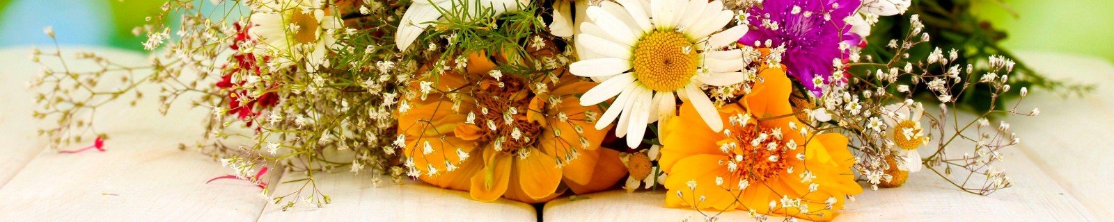 banner-header