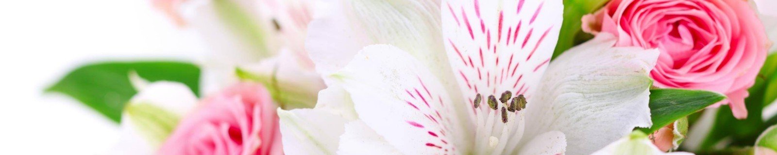 banner-header